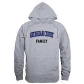 W Republic Georgian Court Lions Family Hoodie 573-521 HEATHER GREY Primary