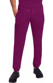 Healing Hands Men's Dante Jogger Scrub Pant 9301