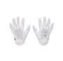 100 - WHITE/DISTANT GRAY/METALLIC SILVER
