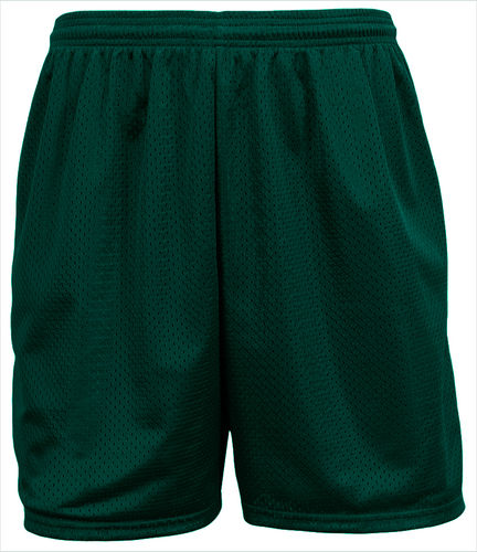 A4 Sprint 4" Lined Tricot Mesh Shorts Nb5294