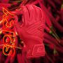 RED/RED