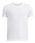 100 - WHITE/BLACK