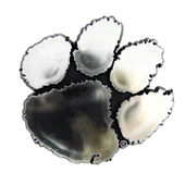 Fan Mats Clemson University Molded Chrome Emblem 123-F609 Clemson Tigers