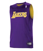 Alleson Youth NBA Reversible Team Basketball Jersey A105LY Outside: PURPLE, Inside: GOLD Primary