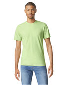 Gildan Softstyle Adult Pre-Shrunk T-Shirts PISTACHIO Primary