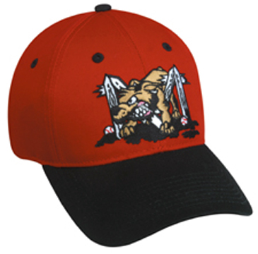 muckdogs hat