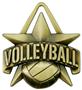 Hasty Awards 2" All-Star Volleyball Medals M-790V
