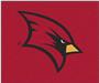 Fan Mats NCAA Saginaw Valley State Tailgater Mat