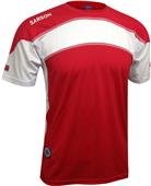 Sarson Adult/Youth Brasilia Soccer Jersey Sarson Adult/Youth Brasilia Soccer Jersey