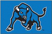 Fan Mats University at Buffalo Starter Mat