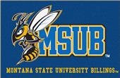 Fan Mats Montana State University Starter Mat