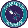 Fan Mats NBA Charlotte Hornets Roundel Mat