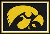 Fan Mats NCAA University of Iowa 5x8 Rug