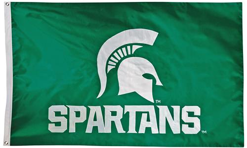 Collegiate Michigan State 2-Sided Nylon 3'x5' Flag