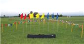 Athletic Specialties Pennant Flag Posts