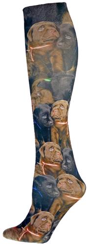 Nouvella Labrador Retriever Sublimate Trouser Sock