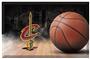 Fan Mats NBA Cavaliers Scraper Ball Mat