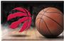 Fan Mats NBA Raptors Scraper Ball Mat