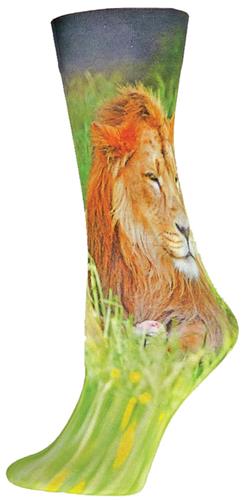 Nouvella Lion Nature Sublimated Trouser Sock