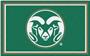 Fan Mats NCAA Colorado State 4'x6' Rug