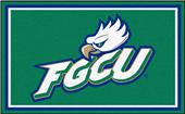 Fan Mats NCAA Florida Gulf Coast 4'x6' Rug