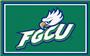 Fan Mats NCAA Florida Gulf Coast 4'x6' Rug