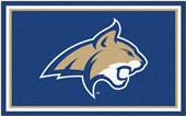 Fan Mats NCAA Montana State University 4'x6' Rug