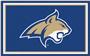 Fan Mats NCAA Montana State University 4'x6' Rug
