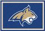 Fan Mats NCAA Montana State University 5'x8' Rug