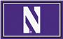Fan Mats NCAA Northwestern University 4'x6' Rug