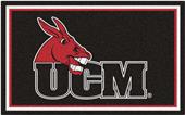 Fan Mats NCAA Central Missouri 4'x6' Rug