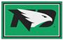 Fan Mats NCAA University of North Dakota 4'x6' Rug