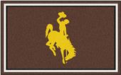 Fan Mats NCAA University of Wyoming 4'x6' Rug