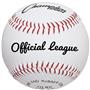 Champion Sports Syntex Raised Seam Baseballs (dz.)