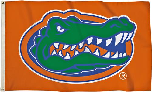 BSI College Florida Orange 3' x 5' Flag w/Grommets
