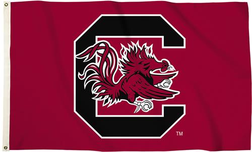BSI College South Carolina 3' x 5' Flag w/Grommets