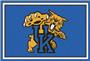 Fan Mats NCAA University of Kentucky 5'x8' Rug