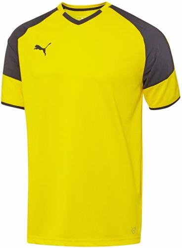 Puma Mens Borussia Short Sleeve Soccer Jersey. Printing is available for this item.