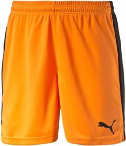 Puma Mens Pitch Soccer Shorts - Soccer Equipment and Gear