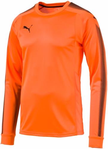 Puma Mens Goalie Long Sleeve Soccer Jersey. Printing is available for this item.