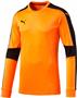 puma goalie jerseys