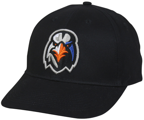 ironbirds baseball hat