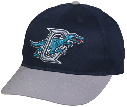 ogden raptors hat