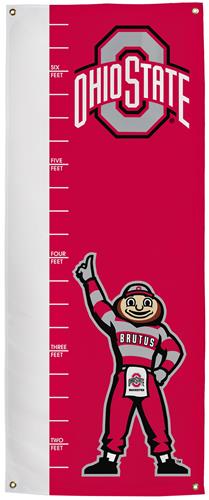 Collegiate Ohio State Growth Chart Banner