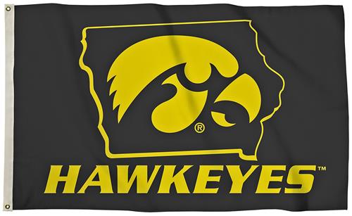 Collegiate Iowa 3'x5' Flag w/State Outline