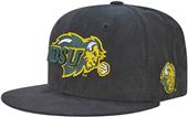 North Dakota State Univ Faux Suede Snapback Cap