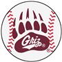 Fan Mats NCAA University of Montana Baseball Mat