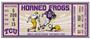 Fan Mats NCAA Texas Christian Ticket Runner