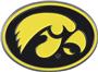 Fan Mats NCAA Iowa Colored Vehicle Emblem