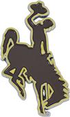 Fan Mats NCAA Wyoming Colored Vehicle Emblem